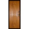 Дверь Аргус Тепло-1